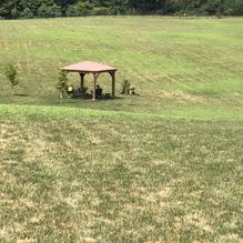 Meadow Run Dog Park photo 1